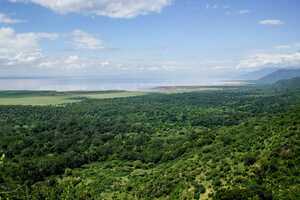 マニャラ湖国立公園の画像2