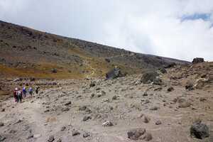 キリマンジャロの画像10