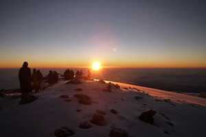 キリマンジャロの画像15