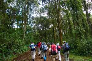 キリマンジャロの画像2