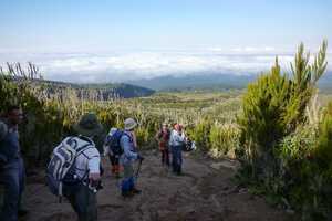 キリマンジャロの画像6