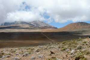 キリマンジャロの画像8