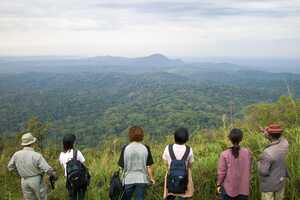 カリンズ森林の画像6