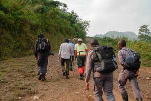 ブウィンディ原生国立公園の画像3