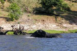 チョベ国立公園の画像14