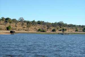 チョベ国立公園の画像6