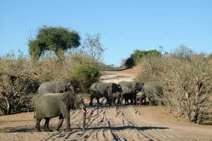 チョベ国立公園の画像2