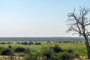 チョベ国立公園の画像3