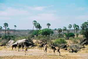 ルアハ国立公園の画像3