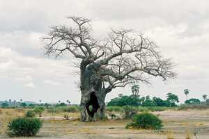 ルアハ国立公園の画像2