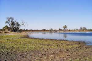マガディカディ&ナイ・パン国立公園の画像5