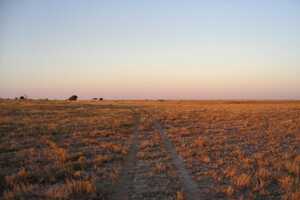 マガディカディ&ナイ・パン国立公園の画像7