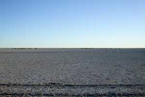 マガディカディ&ナイ・パン国立公園の画像11