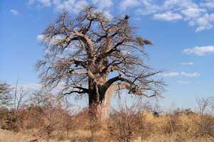 マガディカディ&ナイ・パン国立公園の画像4