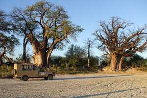 マガディカディ&ナイ・パン国立公園の画像10
