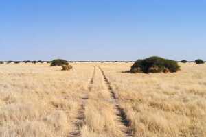 マガディカディ&ナイ・パン国立公園の画像6