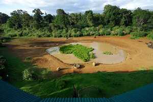 ケニア山国立公園の画像5