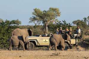 フルオープンのサファリカーで動物との距離も近く撮影に最適