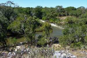 カサンカ国立公園の画像4