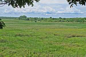カサンカ国立公園の画像2