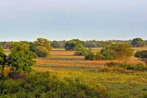カサンカ国立公園の画像5