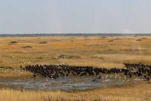 カフエ国立公園の画像2