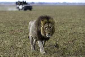 カフエ国立公園の画像4