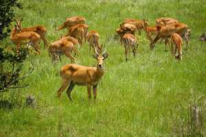 カフエ国立公園の画像3