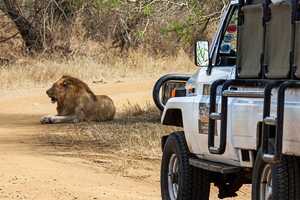 シュシューウェ・インフォロジ動物保護区の画像3