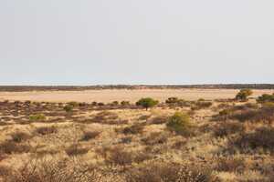 雨期には水が溜まって小さな池のようになるパン(窪地)