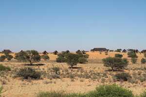 見晴らしの良さを狙って、パン(窪地)を見下ろす砂丘の上に建てられたロッジ