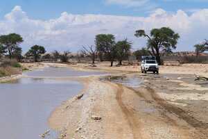砂地は水の吸収が意外に悪く、まとまった雨が降るとあちこちに水たまりができる