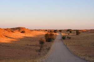 南東から北西に向かって帯状に並ぶ砂丘を縫って多くの道が作られている