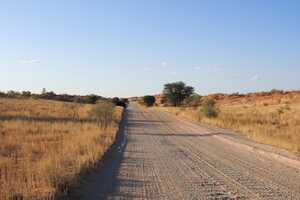 公園内の道はダートだが、よく整備されている