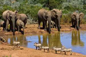 アドゥ・エレファント国立公園の画像4