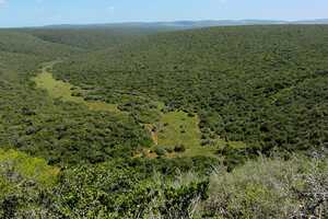アドゥ・エレファント国立公園の画像3