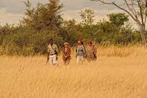 ワンゲ国立公園の画像6