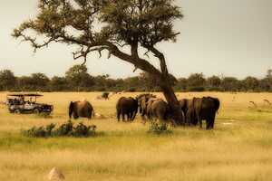 ワンゲ国立公園の画像5