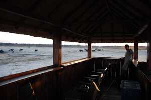 ワンゲ国立公園の画像3