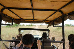 ロペ国立公園では4駆車でのサファリとウォーキングサファリをお楽しみください