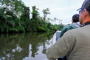 ボートサファリを主に動物や野鳥を探します
