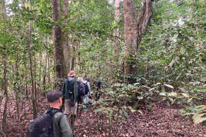 ロアンゴ国立公園でのウォーキングサファリ