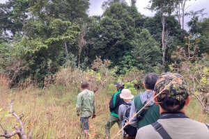 マンドリルの居場所がわかり次第、森へ分け入ります