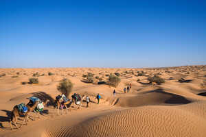 5泊6日、静寂の砂漠をラクダとともに歩きます