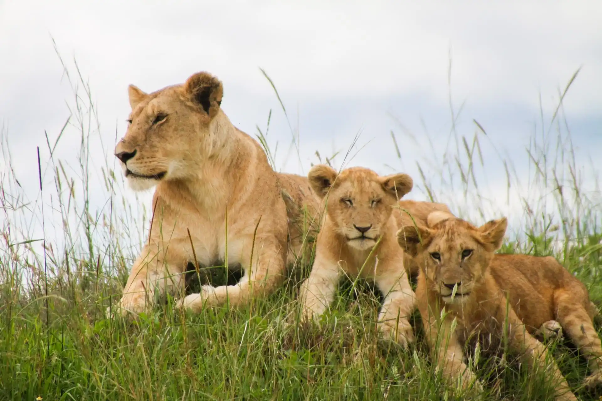 35760019436f4764289fd392fcdda2