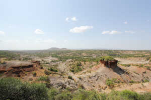 数百万年前、人類の祖先が歩いていたのでしょうか