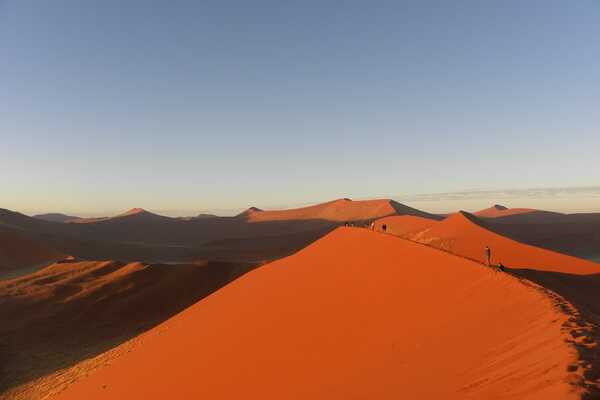 ナミブ砂漠訪問 ナミビア・キャンプ 10日間の画像