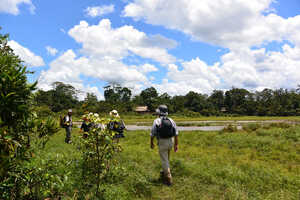 ウォーキングでのサファリが多いです