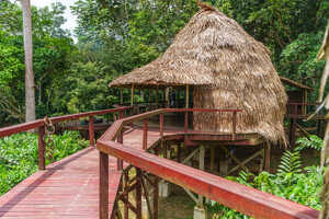 ンガガロッジのコテージ