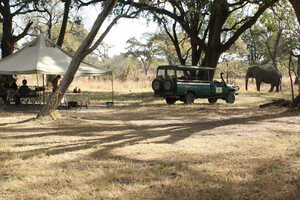ボツワナでは野生動物との距離が近い、常設テントへの滞在